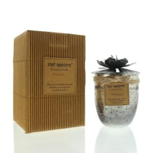 Bali Mantra Hibiscus Glass Silver Candle 500g - Redcurrant