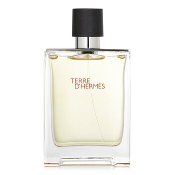 Hermès Terre d'Hermès Eau de Toilette 100ml Spray