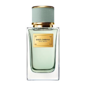 Dolce & Gabbana Velvet Infusion Eau de Parfum 100ml Spray