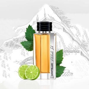 Mont Blanc Patchouli Ink Eau de Parfum 125ml Spray